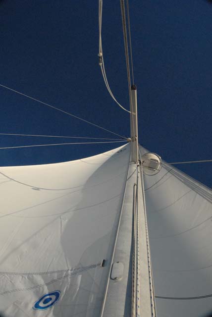 SAIL_022_00475 25