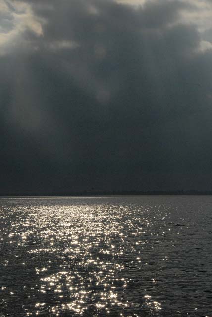 SAIL_113_0036c 1 001