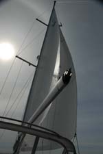 SAIL_169_0351