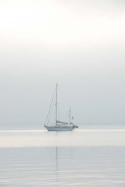 SAIL_144_0195